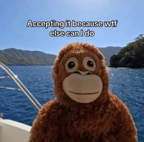 Accepting it because wtf else can I do