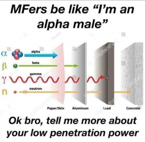 MFers be like “I’m an alpha male” alpha beta gamma neutron Paper/Skin Aluminum Lead Concrete Ok bro, tell me more about your low penetration power