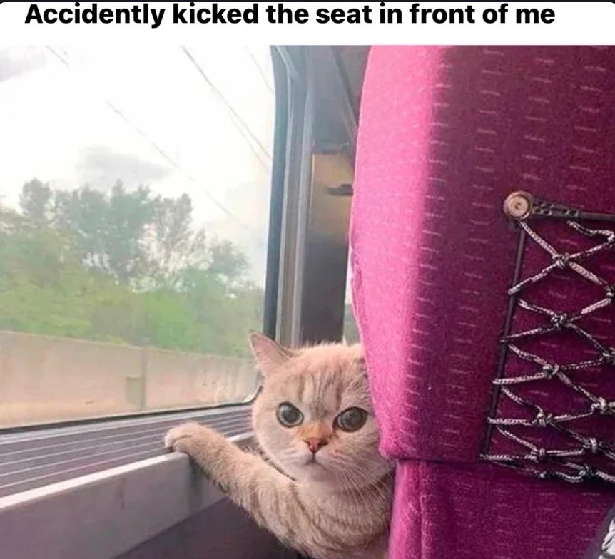 Accidentally kicked the seat in front of me