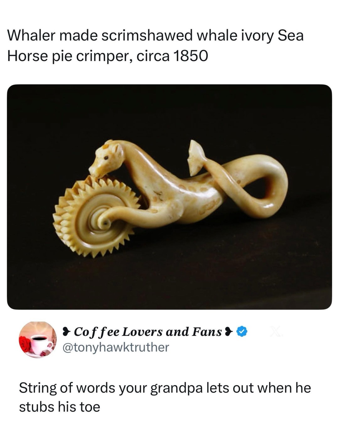 Whaler made scrimshawed whale ivory Sea Horse pie crimper, circa 1850. Coffee Lovers and Fans @tonyhawktruther. String of words your grandpa lets out when he stubs his toe.