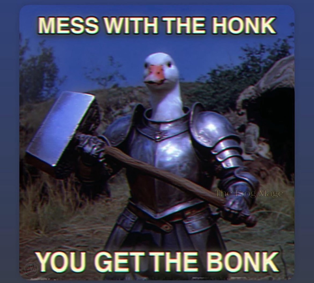 MESS WITH THE HONK YOU GET THE BONK