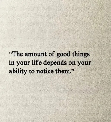 The amount of good things in your life depends on your ability to notice them.