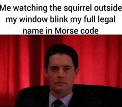 Me watching the squirrel outside my window blink my full legal name in Morse code