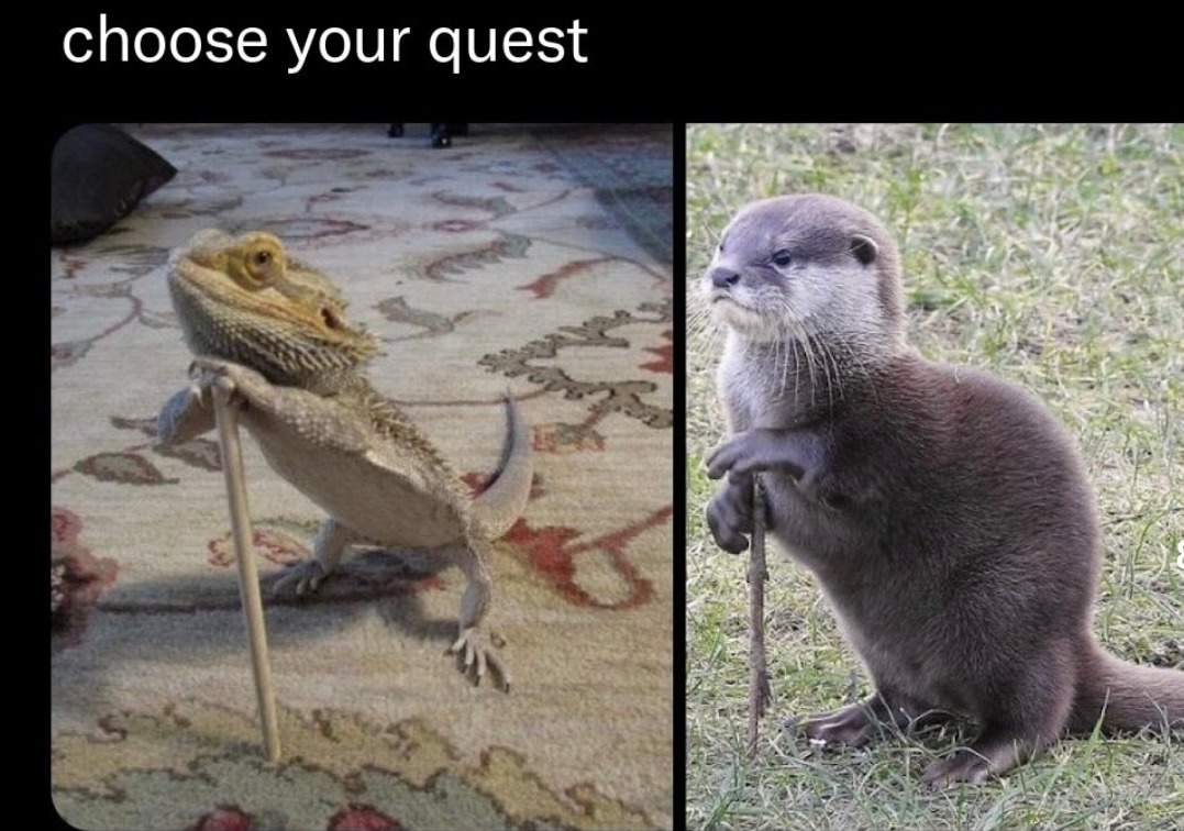 choose your quest. A meme featuring two panels: on the left, a bearded dragon stands on a rug, holding a stick like a cane; on the right, an otter stands on grass, also holding a stick like a cane. Both animals appear to be wise, quest-giving characters.