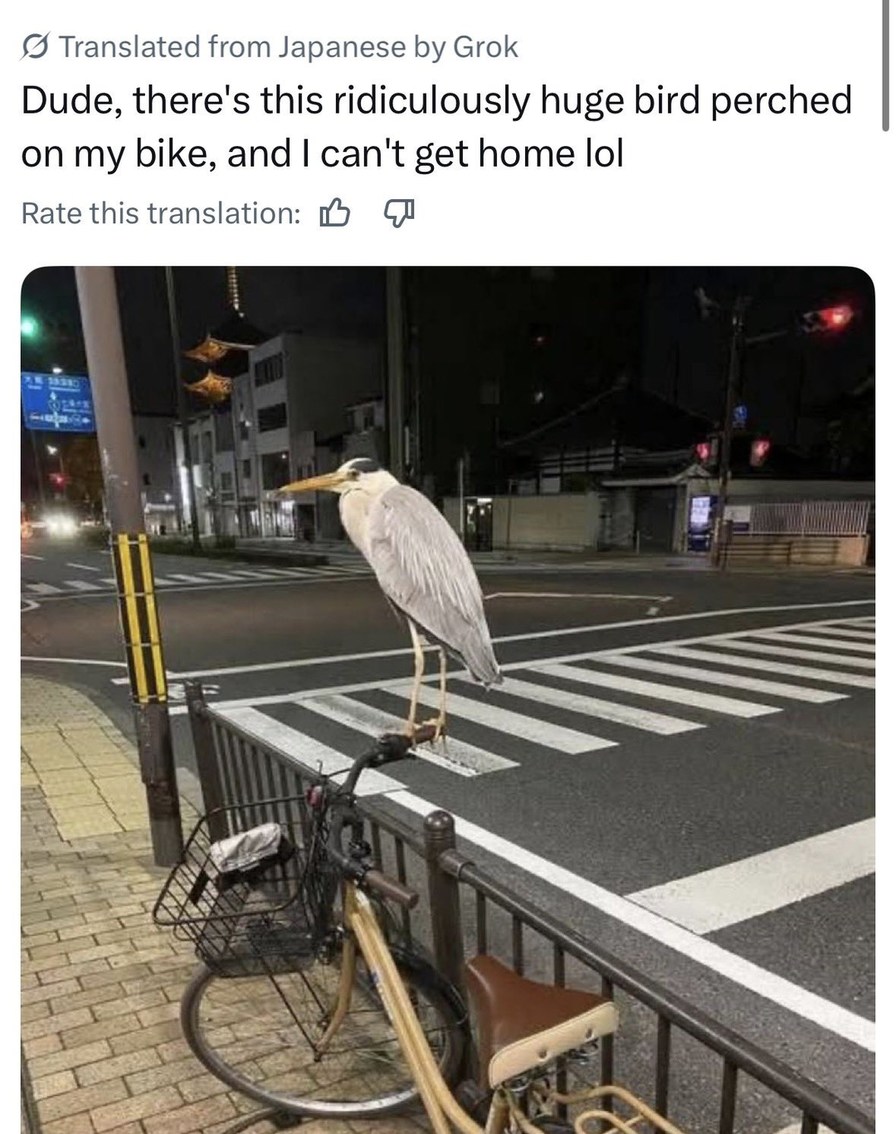 Translated from Japanese by Grok. Dude, there's this ridiculously huge bird perched on my bike, and I can't get home lol. Rate this translation.