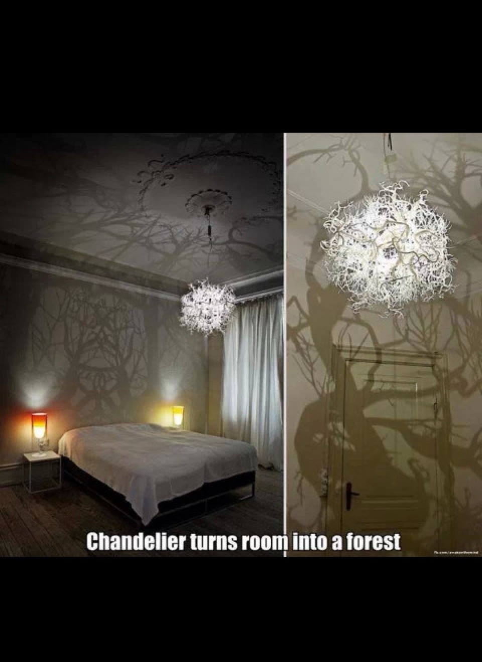 Chandelier turns room into a forest