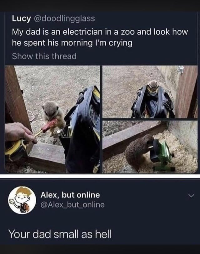My dad is an electrician in a zoo and look how he spent his morning I'm crying Show this thread Your dad small as hell