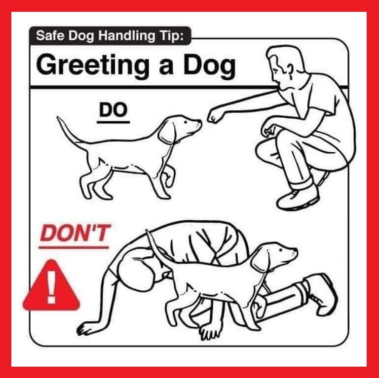 Safe Dog Handling Tip: Greeting a Dog. DO: A man crouches and extends his hand to a dog. DON'T: A man is on the ground, seemingly knocked over, with a dog standing near him.