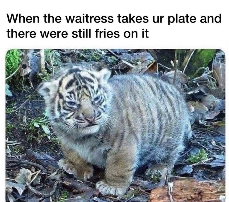When the waitress takes ur plate and there were still fries on it