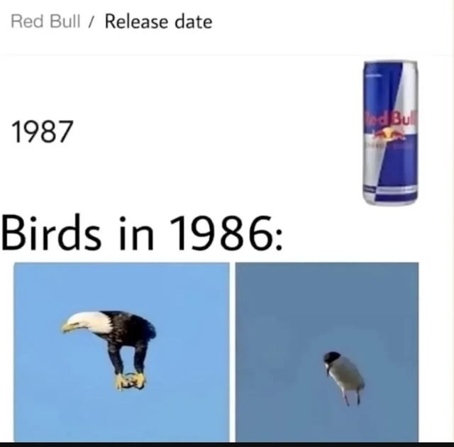 Red Bull / Release date 1987 Birds in 1986: (image of an eagle and another bird without visible wings, implying they couldn't fly before Red Bull)