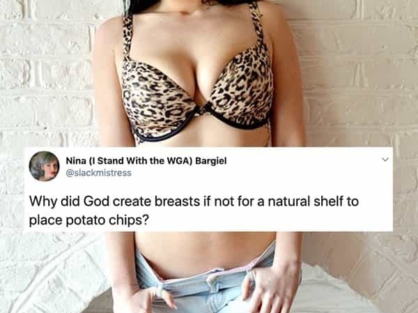 Nina (I Stand With the WGA) Bargiel @slackmistress Why did God create breasts if not for a natural shelf to place potato chips?