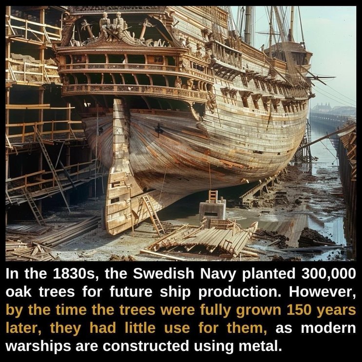 In the 1830s, the Swedish Navy planted 300,000 oak trees for future ship production. However, by the time the trees were fully grown 150 years later, they had little use for them, as modern warships are constructed using metal.