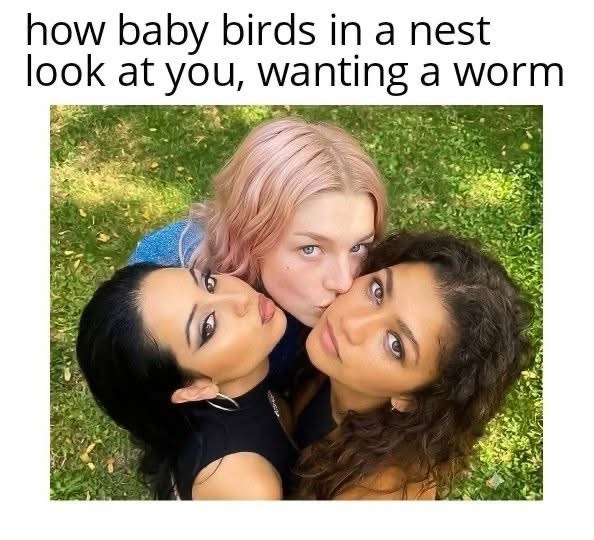how baby birds in a nest look at you, wanting a worm