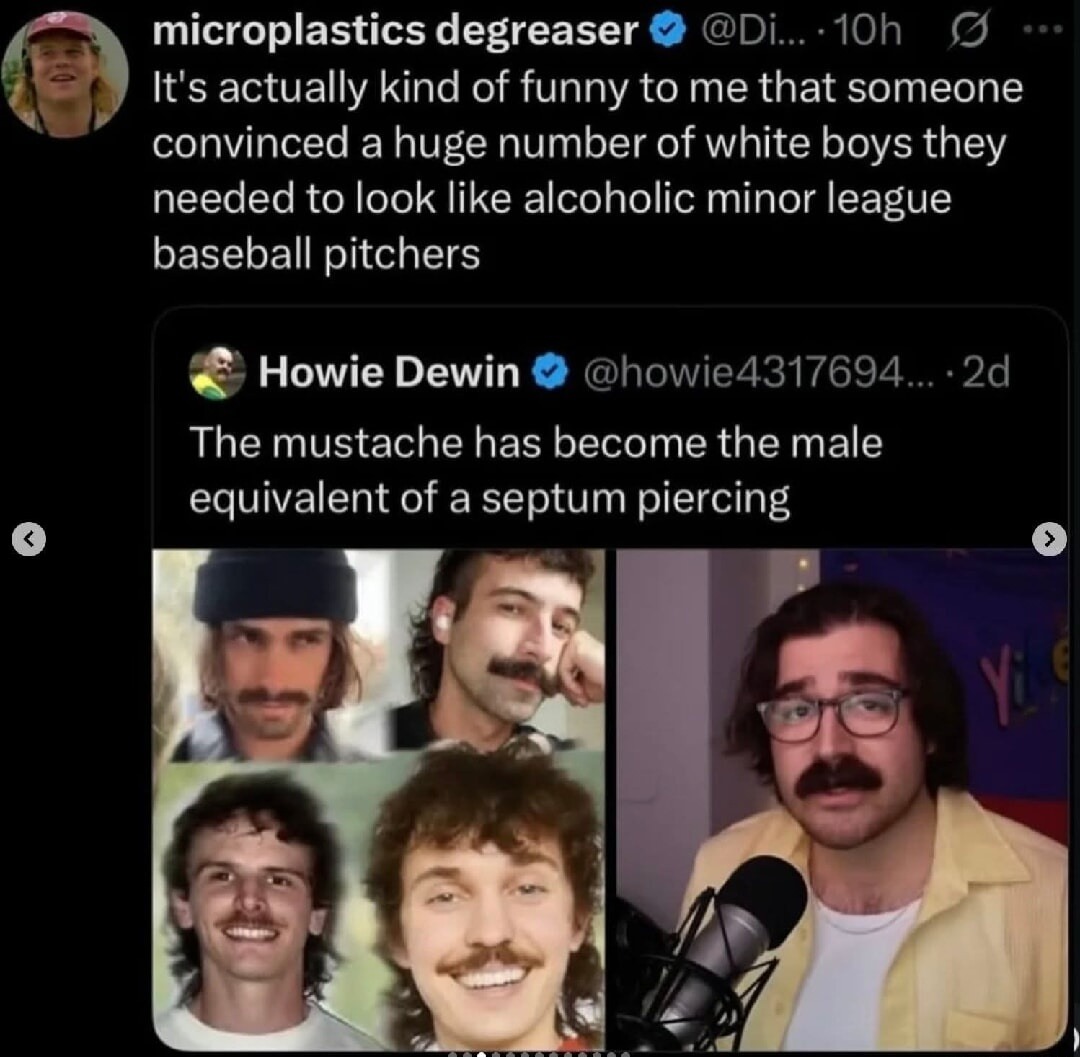 It's actually kind of funny to me that someone convinced a huge number of white boys they needed to look like alcoholic minor league baseball pitchers. The mustache has become the male equivalent of a septum piercing.