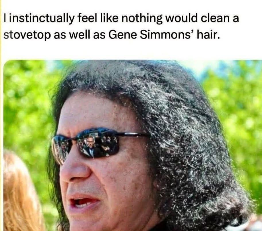 I instinctually feel like nothing would clean a stovetop as well as Gene Simmons' hair.