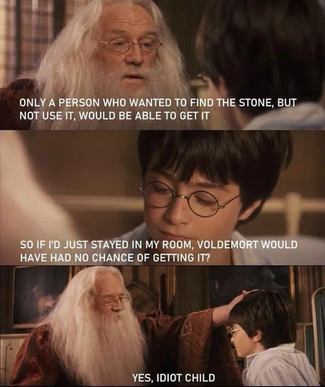 ONLY A PERSON WHO WANTED TO FIND THE STONE, BUT NOT USE IT, WOULD BE ABLE TO GET IT SO IF I'D JUST STAYED IN MY ROOM, VOLDEMORT WOULD HAVE HAD NO CHANCE OF GETTING IT? YES, IDIOT CHILD
