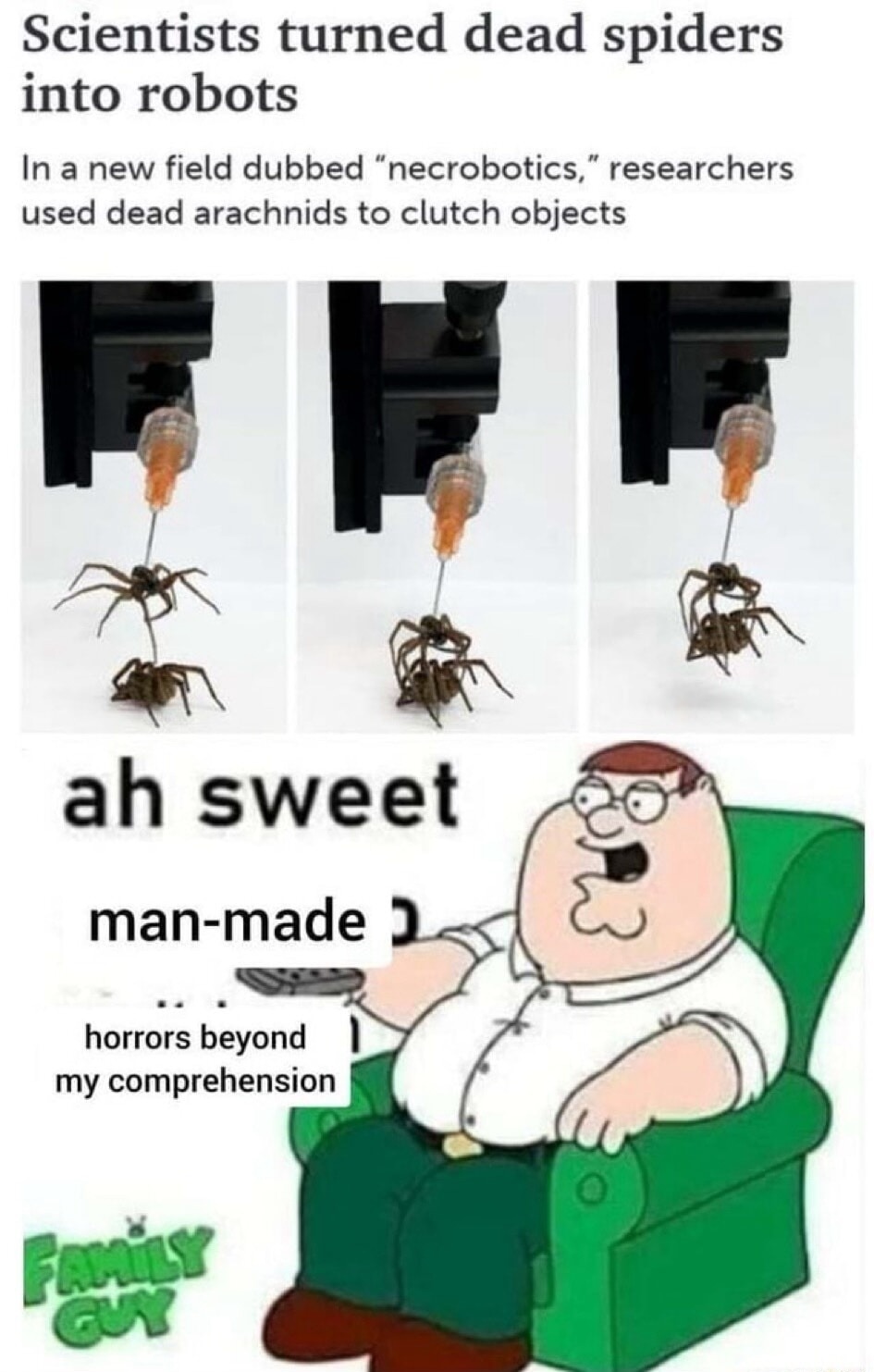 Scientists turned dead spiders into robots In a new field dubbed 