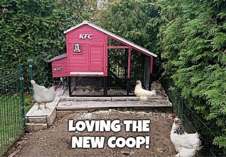 KFC. LOVING THE NEW COOP!