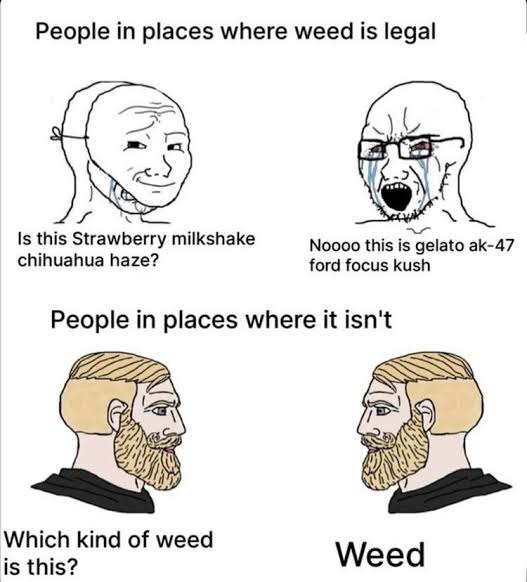 People in places where weed is legal. Is this Strawberry milkshake chihuahua haze? Noooo this is gelato ak-47 ford focus kush. People in places where it isn't. Which kind of weed is this? Weed.