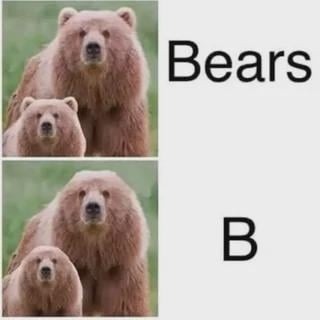 Bears B