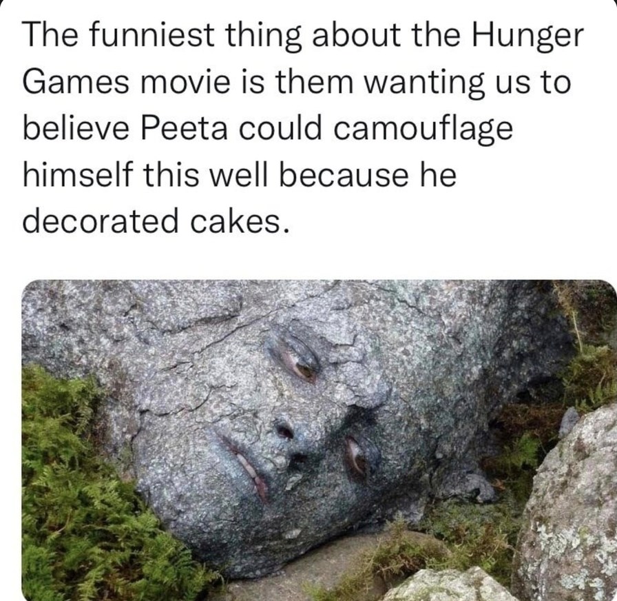 The funniest thing about the Hunger Games movie is them wanting us to believe Peeta could camouflage himself this well because he decorated cakes.