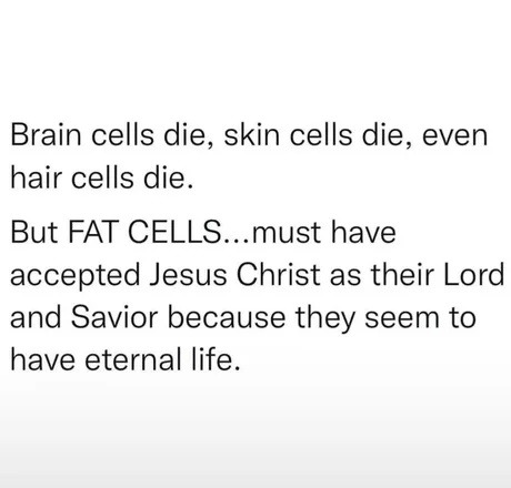Brain cells die, skin cells die, even hair cells die. But FAT CELLS...must have accepted Jesus Christ as their Lord and Savior because they seem to have eternal life.