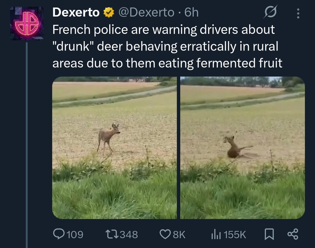 French police are warning drivers about 
