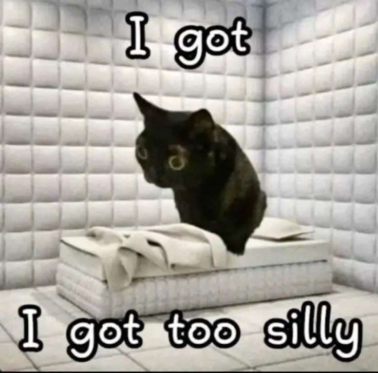 I got I got too silly