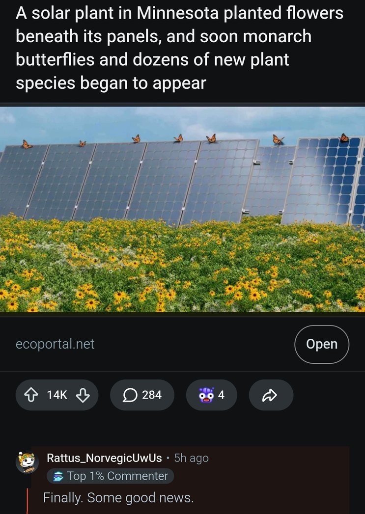 A solar plant in Minnesota planted flowers beneath its panels, and soon monarch butterflies and dozens of new plant species began to appear. ecoportal.net. Finally. Some good news.