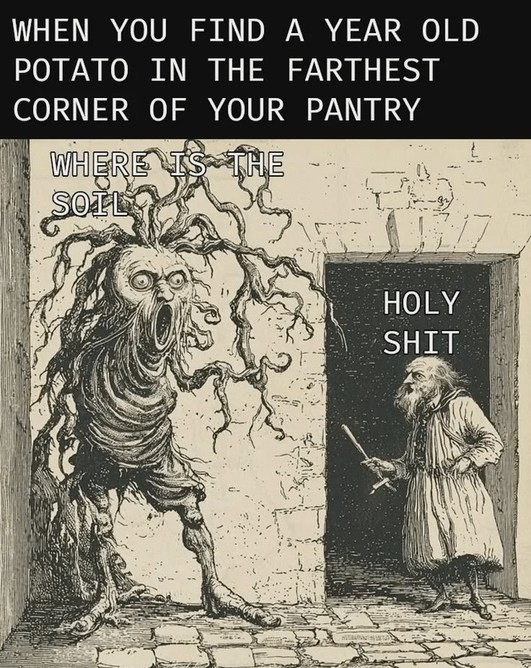 WHEN YOU FIND A YEAR OLD POTATO IN THE FARTHEST CORNER OF YOUR PANTRY WHERE IS THE SOIL HOLY SHIT