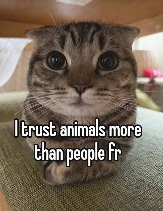 I trust animals more than people fr