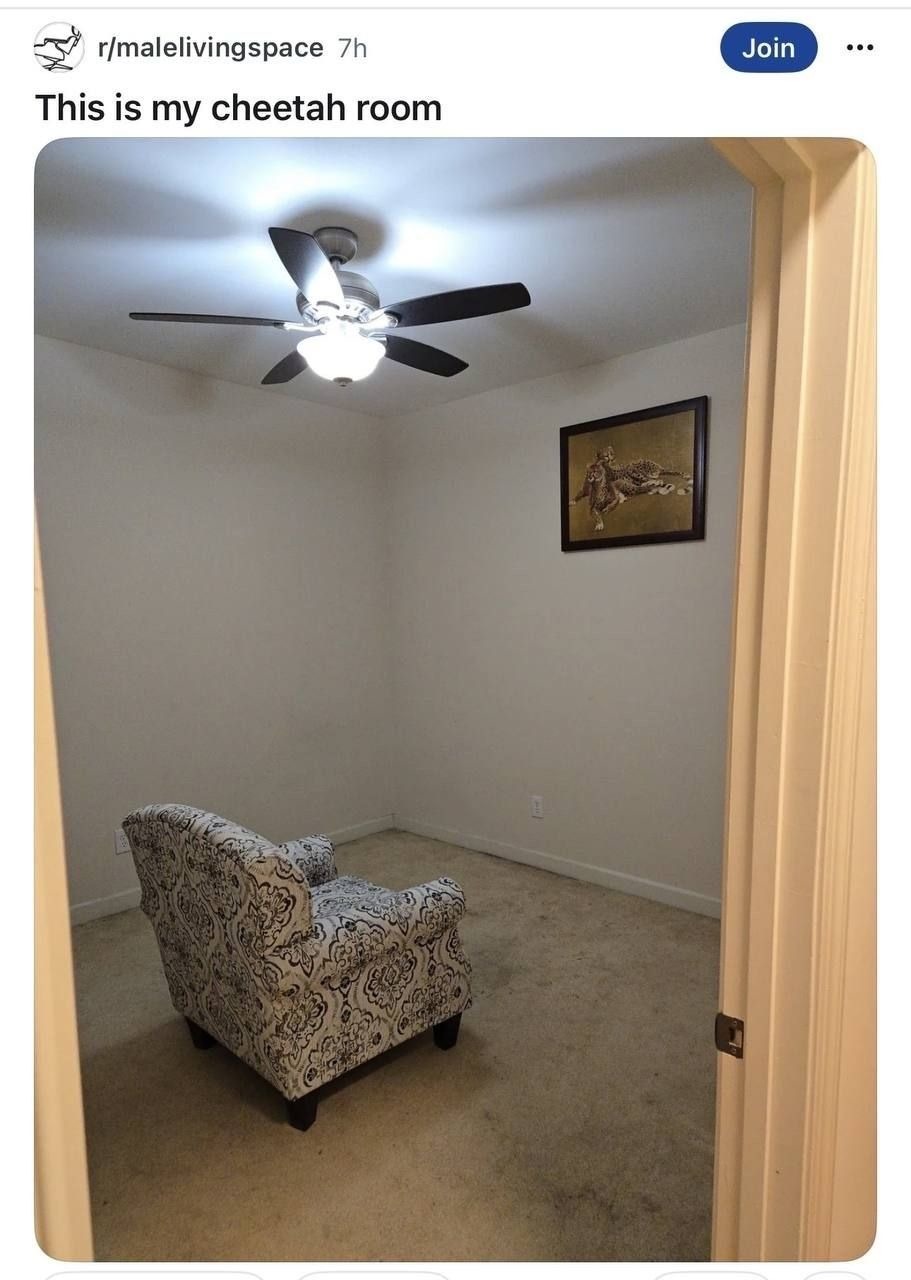 This is my cheetah room
