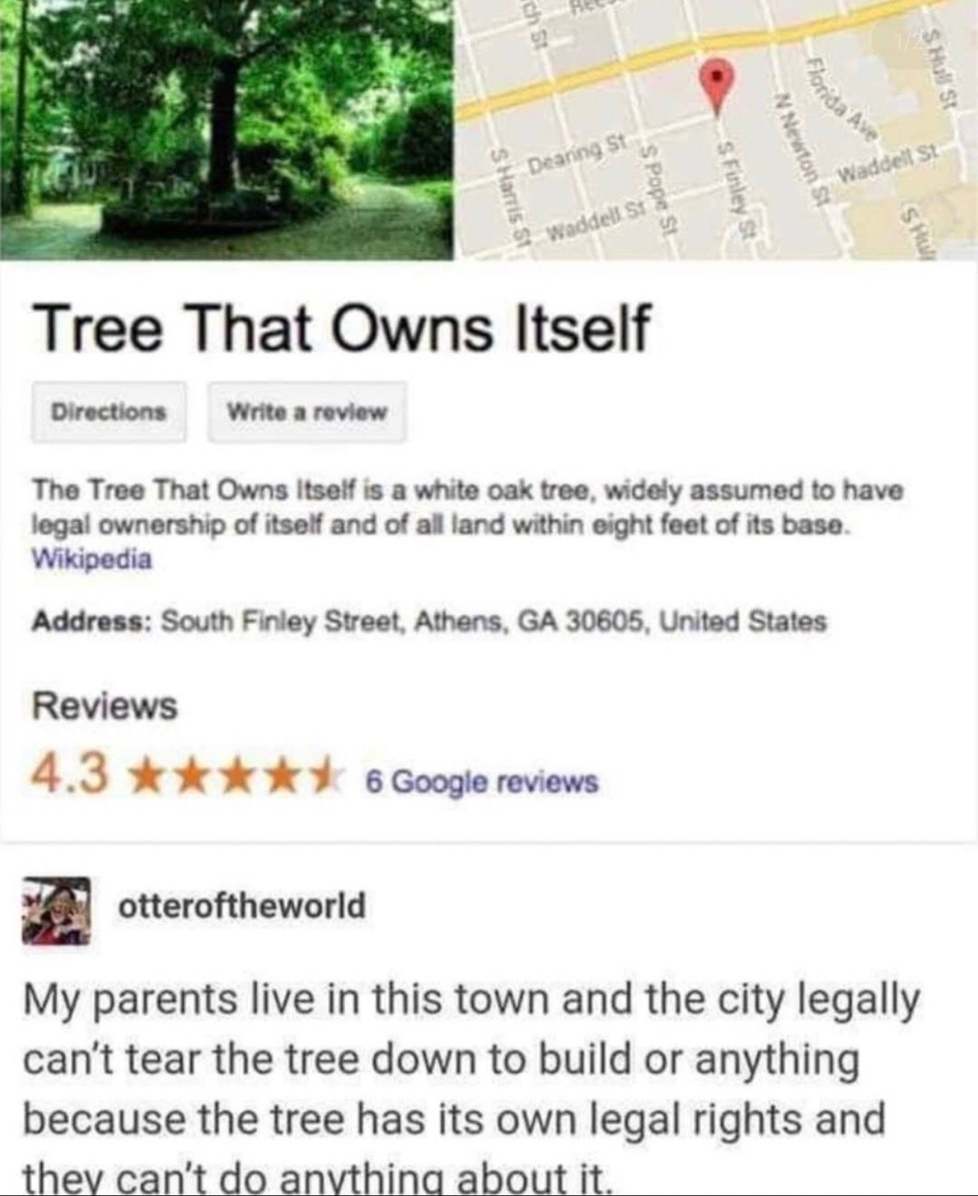 Tree That Owns Itself. Directions. Write a review. The Tree That Owns Itself is a white oak tree, widely assumed to have legal ownership of itself and of all land within eight feet of its base. Wikipedia. Address: South Finley Street, Athens, GA 30605, United States. Reviews 4.3 stars, 6 Google reviews. otteroftheworld: My parents live in this town