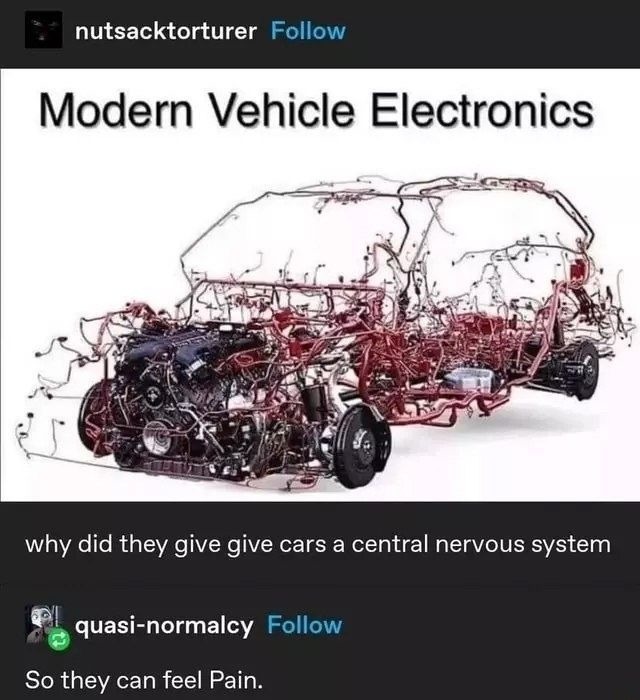 Modern Vehicle Electronics. why did they give cars a central nervous system. So they can feel Pain.