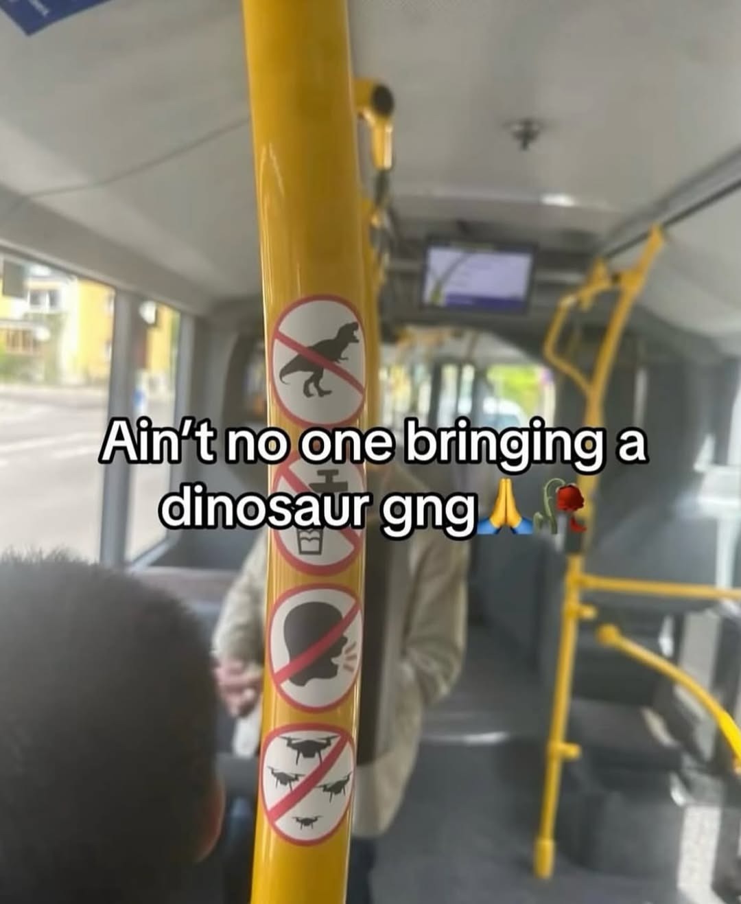 Ain't no one bringing a dinosaur gng 🙏🌹