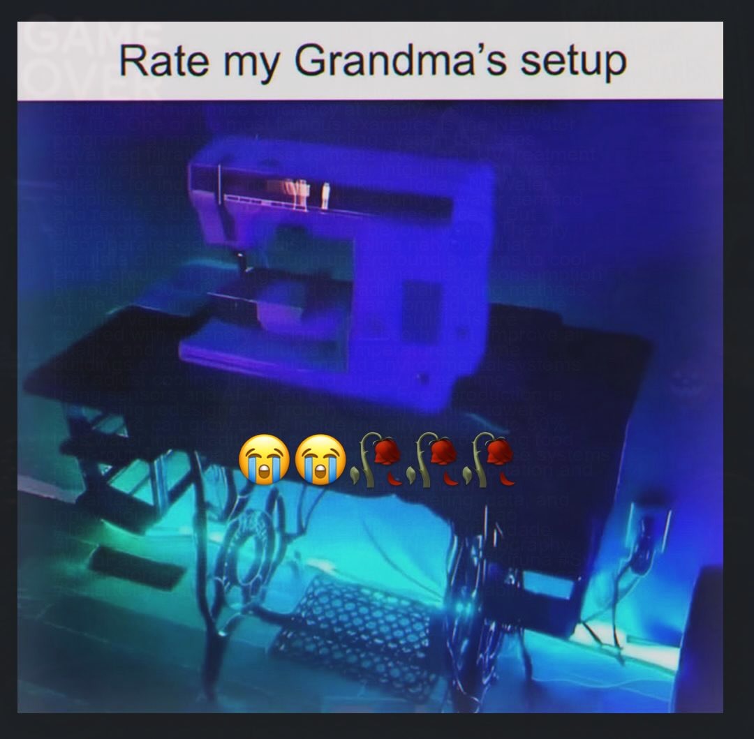 Rate my Grandma's setup