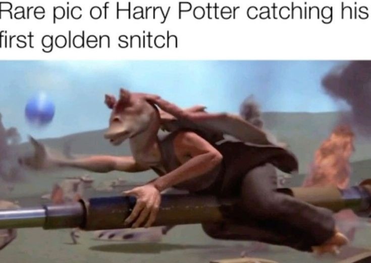 Rare pic of Harry Potter catching his first golden snitch