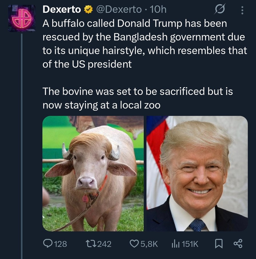 Dexerto @Dexerto • 10h A buffalo called Donald Trump has been rescued by the Bangladesh government due to its unique hairstyle, which resembles that of the US president. The bovine was set to be sacrificed but is now staying at a local zoo.