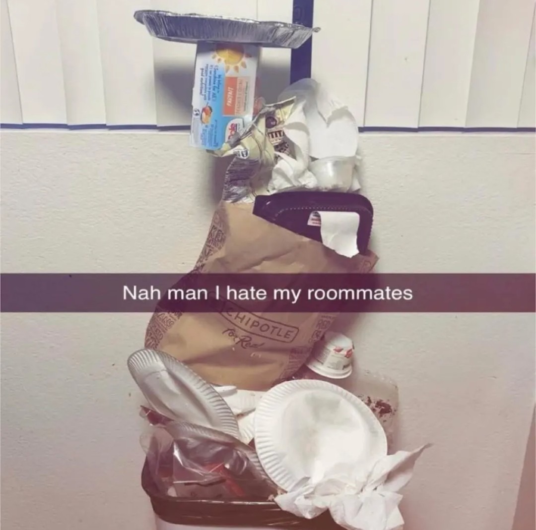 Nah man I hate my roommates