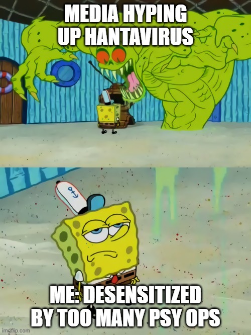 MEDIA HYPING UP HANTAVIRUS ME: DESENSITIZED BY TOO MANY PSY OPS