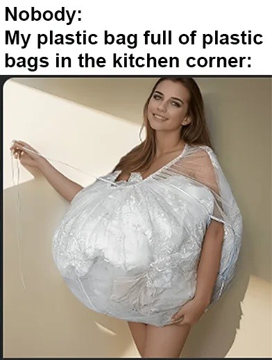 Nobody: My plastic bag full of plastic bags in the kitchen corner: