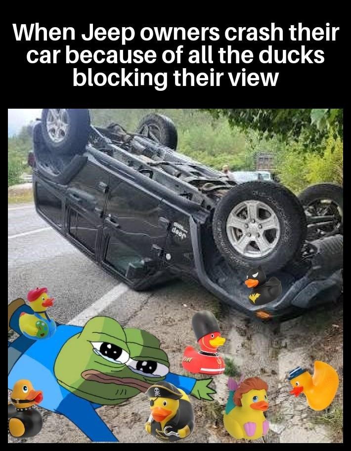 When Jeep owners crash their car because of all the ducks blocking their view