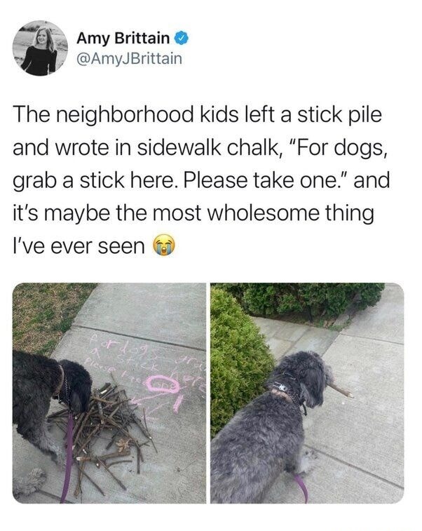 Amy Brittain @AmyJBrittain The neighborhood kids left a stick pile and wrote in sidewalk chalk, 