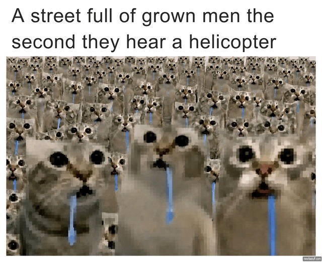 A street full of grown men the second they hear a helicopter