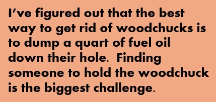 I've figured out that the best way to get rid of woodchucks is to dump a quart of fuel oil down their hole. Finding someone to hold the woodchuck is the biggest challenge.