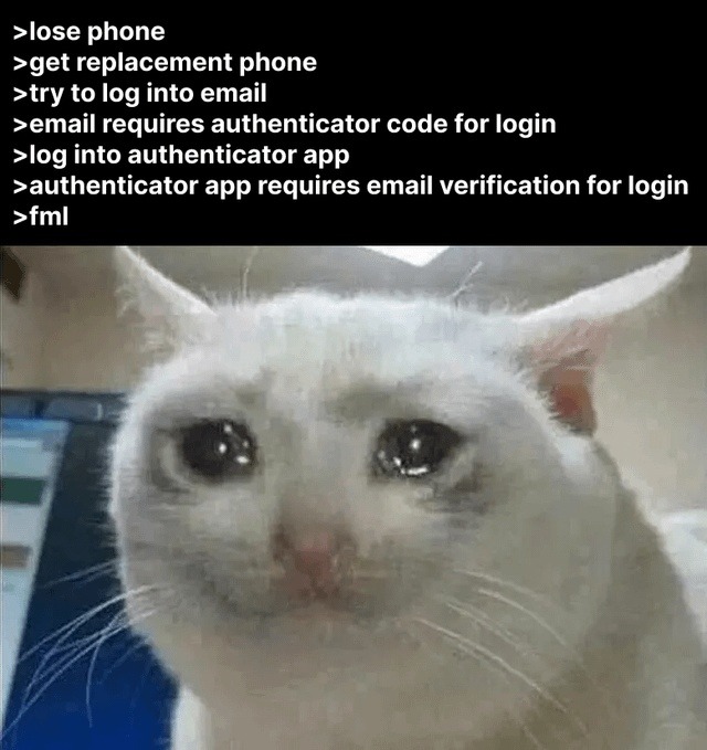 lose phone
get replacement phone
try to log into email
email requires authenticator code for login
log into authenticator app
authenticator app requires email verification for login
fml