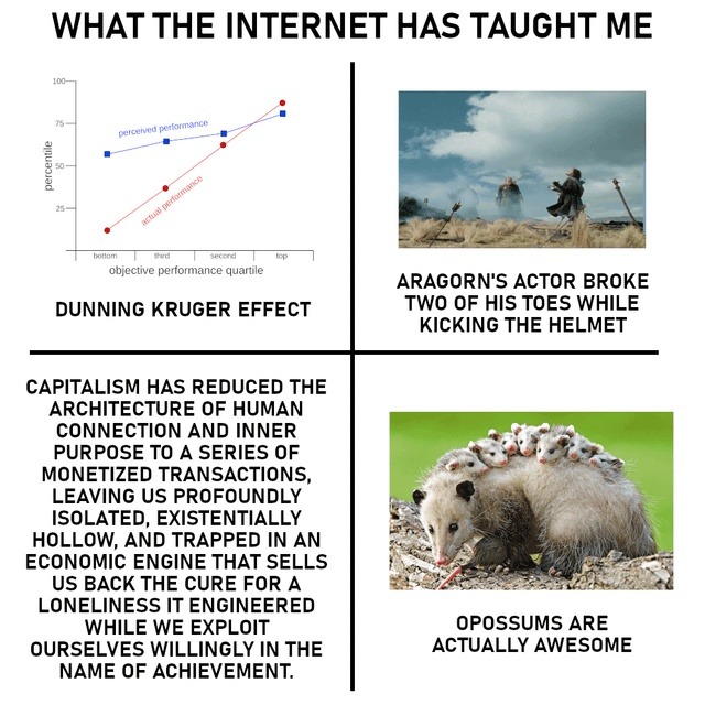 WHAT THE INTERNET HAS TAUGHT ME. Dunning Kruger Effect. Perceived performance vs actual performance graph. Aragorn's actor broke two of his toes while kicking the helmet. Capitalism has reduced the architecture of human connection and inner purpose to a series of monetized transactions, leaving us profoundly isolated, existentially hollow, and trap