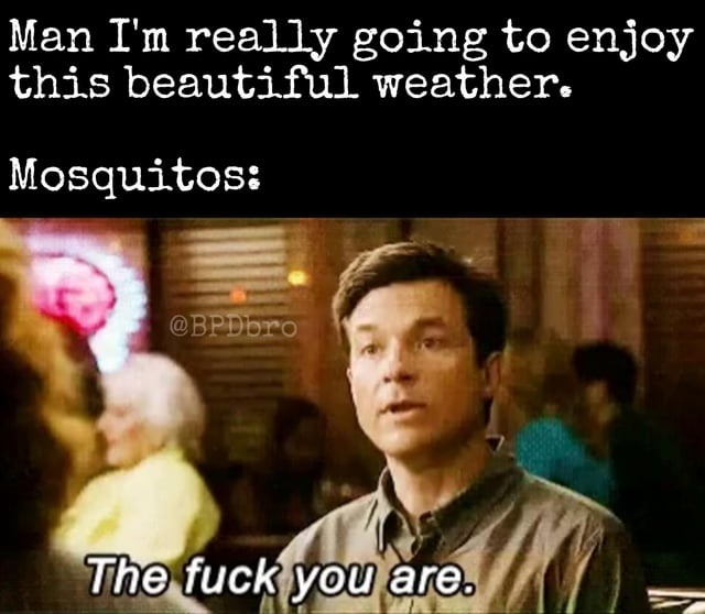 Man I'm really going to enjoy this beautiful weather. Mosquitoes: The fuck you are.