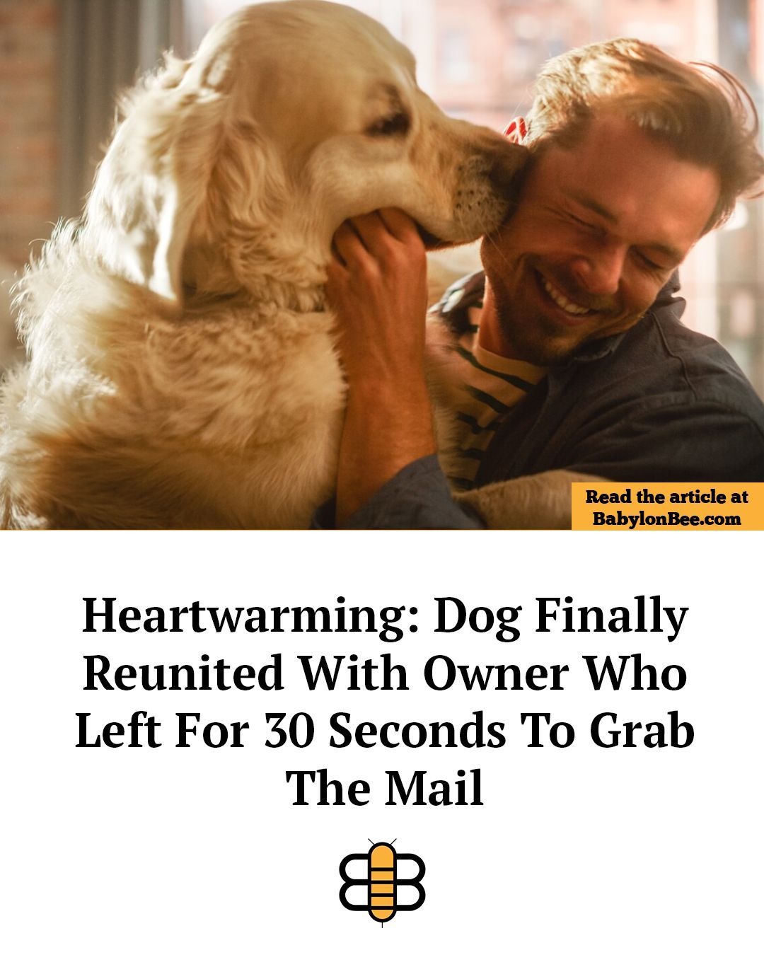Heartwarming: Dog Finally Reunited With Owner Who Left For 30 Seconds To Grab The Mail. Read the article at BabylonBee.com