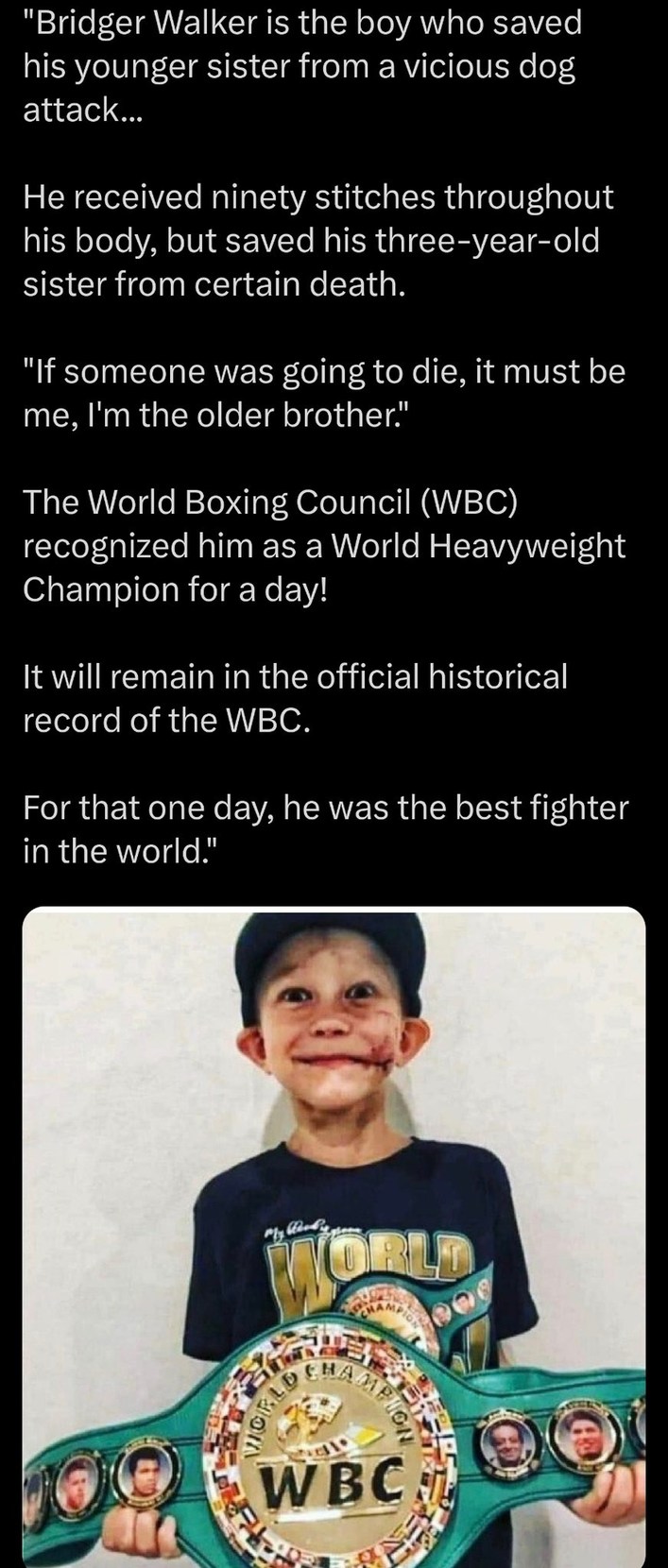 Bridger Walker is the boy who saved his younger sister from a vicious dog attack. He received ninety stitches throughout his body, but saved his three-year-old sister from certain death. If someone was going to die, it must be me, I'm the older brother. The World Boxing Council (WBC) recognized him as a World Heavyweight Champion for a day! It will